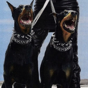 国产无遮挡免费视频一区二区
