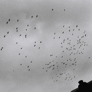 国产无遮挡免费视频一区二区
